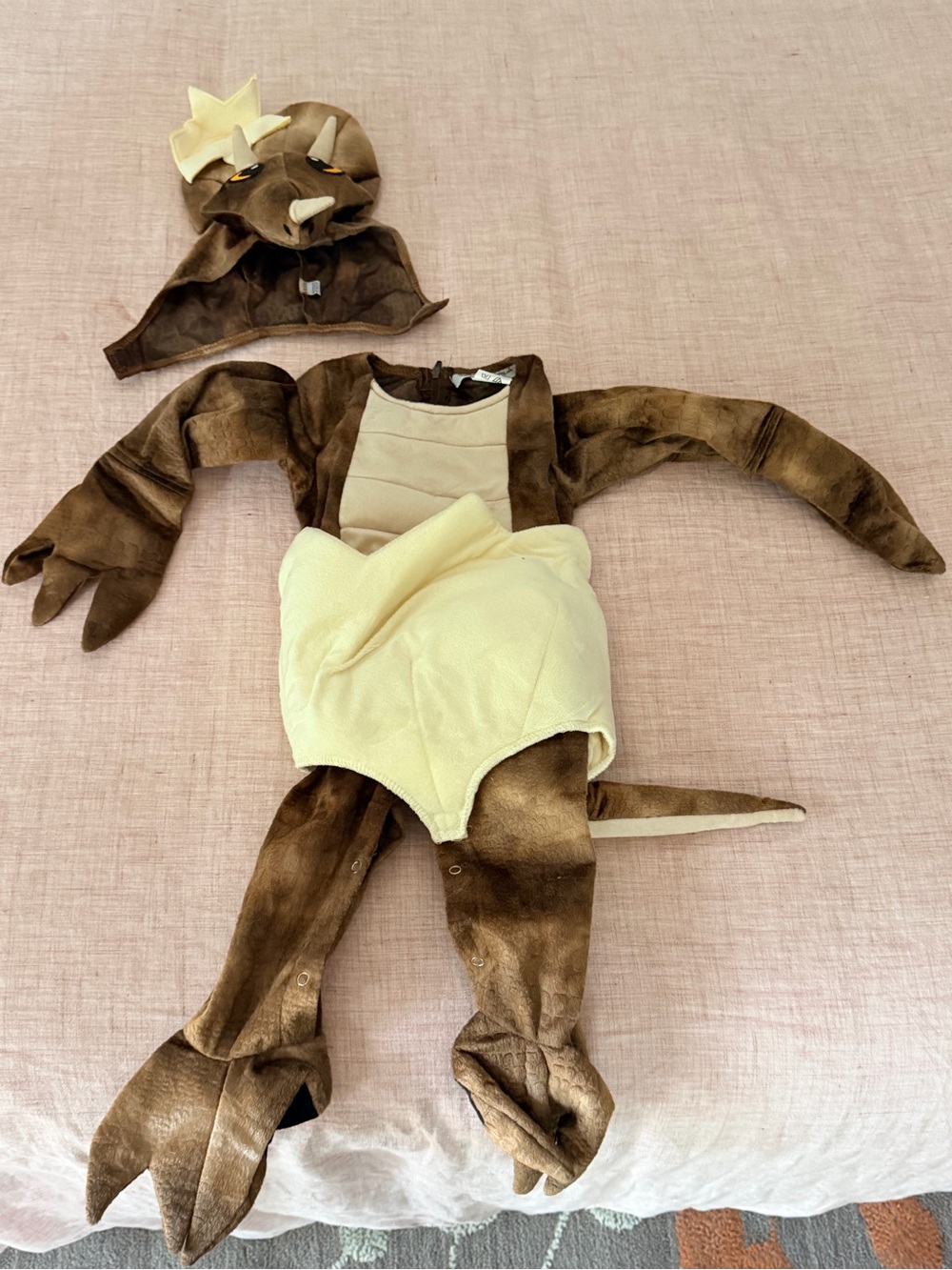 Infant dinosaur costume